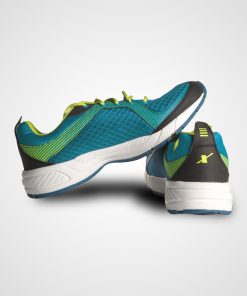sports shoe4